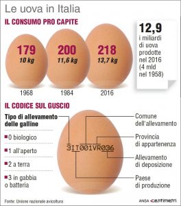 infografica_etichetta_UOVO